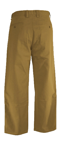 Pleated Pant back